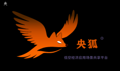 、安防、物流和维修等等
